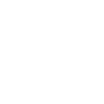 google icon